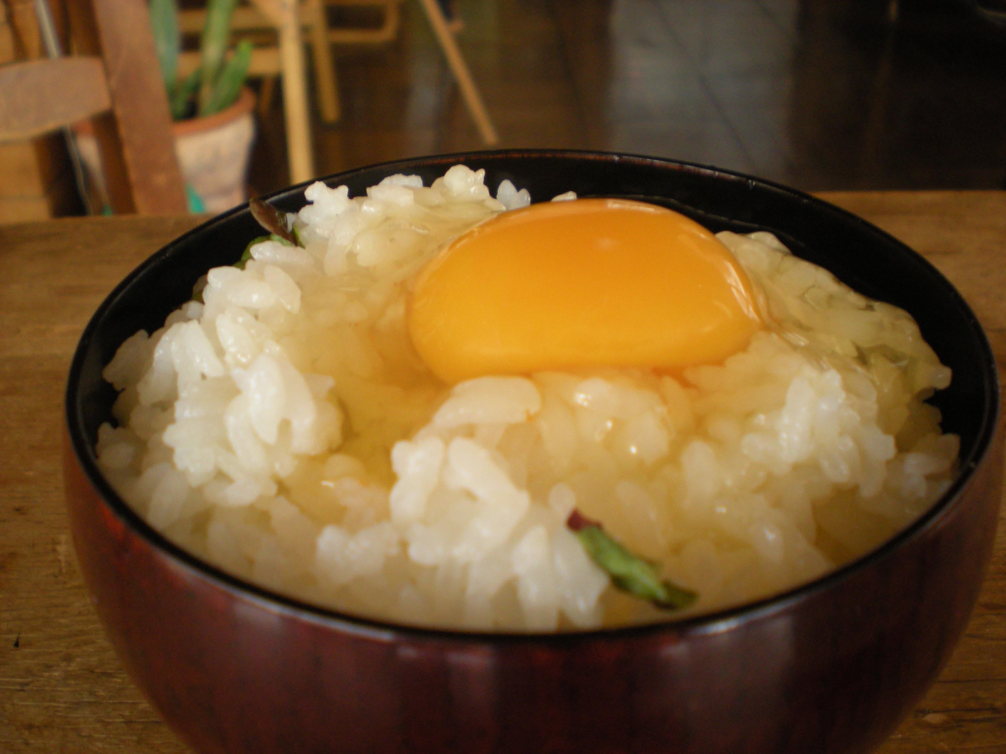 羽黒山の麓で育ったわんぱく卵
