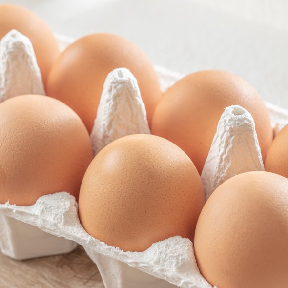 わんぱく卵 - 小嶋商事株式会社山形産直市場eggsわんぱく卵TKG10個